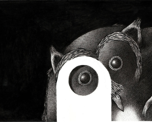 Pedrazzini Mirabili Tracce 4