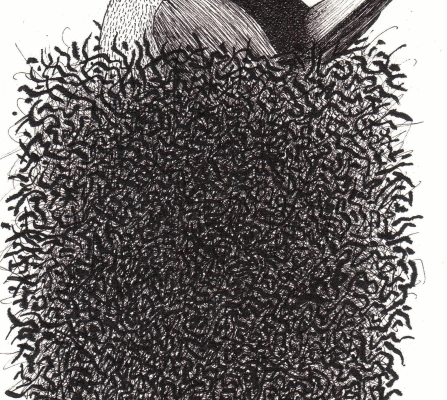 Pedrazzini Mirabili Tracce 3